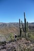 photo thumbnail #15