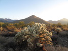 photo thumbnail #1
