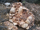 photo thumbnail #15