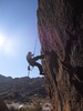 photo thumbnail #5
