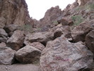 photo thumbnail #10