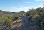photo thumbnail #14