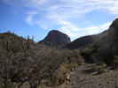 photo thumbnail #2