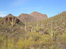 photo thumbnail #4