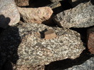 photo thumbnail #13