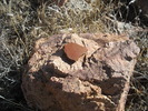 photo thumbnail #14