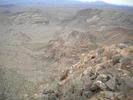 photo thumbnail #14