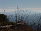 photo thumbnail #2
