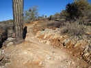 photo thumbnail #3