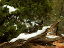 photo thumbnail #2