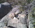 photo thumbnail #6