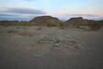 photo thumbnail #3