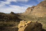 photo thumbnail #12