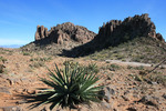 photo thumbnail #3