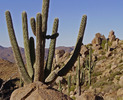 photo thumbnail #8