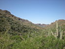 photo thumbnail #2