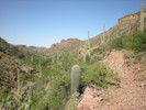 photo thumbnail #5