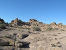 photo thumbnail #1