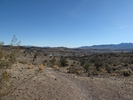 photo thumbnail #2
