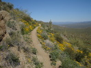 photo thumbnail #3