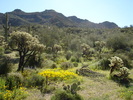 photo thumbnail #4