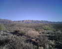 photo thumbnail #8