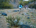photo thumbnail #10