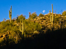 photo thumbnail #11