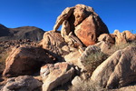 photo thumbnail #10