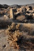 photo thumbnail #14