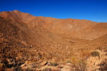 photo thumbnail #15