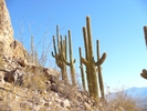 photo thumbnail #6
