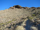 photo thumbnail #7