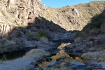 photo thumbnail #3