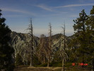 photo thumbnail #8