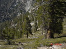 photo thumbnail #10