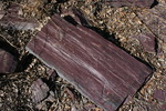 photo thumbnail #14