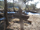 photo thumbnail #3