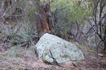 photo thumbnail #12