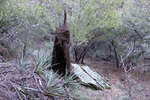 photo thumbnail #13