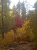 photo thumbnail #2