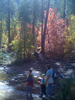 photo thumbnail #7