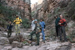 photo thumbnail #5