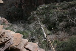 photo thumbnail #11