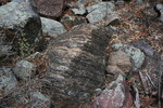 photo thumbnail #13