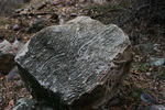 photo thumbnail #14