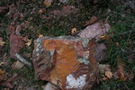 photo thumbnail #15