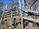 photo thumbnail #6