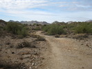 photo thumbnail #2