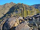 photo thumbnail #8